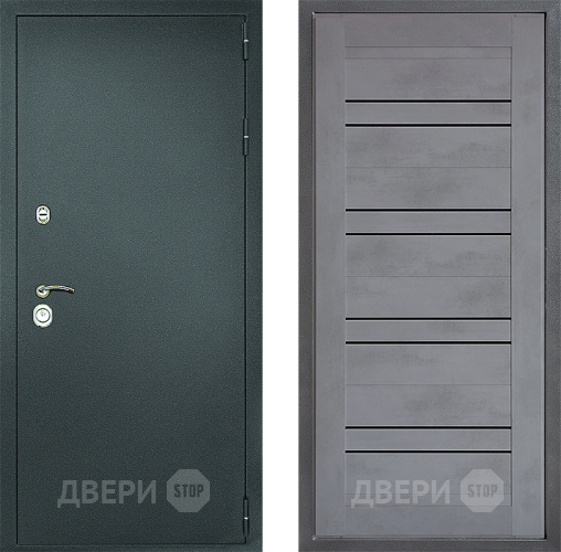 Входная металлическая Дверь Дверной континент Рубикон Серебро Дизайн ФЛ-49 Бетон серый в Яхроме